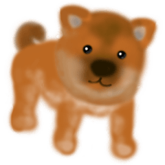 Shiba Inu puppy sticker