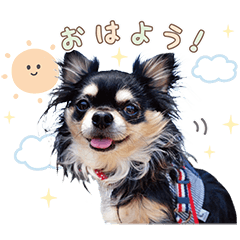 Always with Kuu-chan
