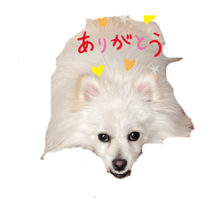 Yuka_20231113183434