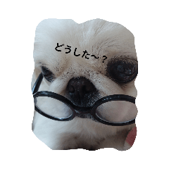omochi_20231113193251
