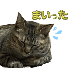 okurachan_20231113224419