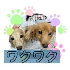 natsumi_20231113230257