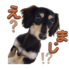 kosuke_20231113193930