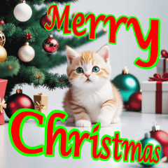Festive Feline Cheer Christmas Stamp Set