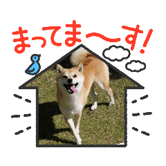 KAMI_20231114074041 โ LINE stickers | LINE STORE