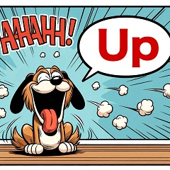 Dog's Whim2