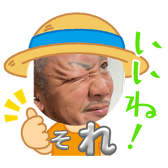 ad8585