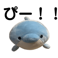 sayuri_20231113230920