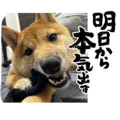 NATSUMI_20231114200331