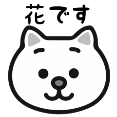 Hana cat sticker