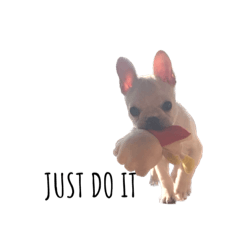 omochi_20231114191503