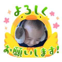 wakana_20231115115703