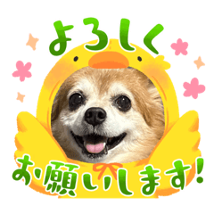 kana_20231115023518