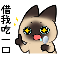 Siamese cat - Kimi Part 6