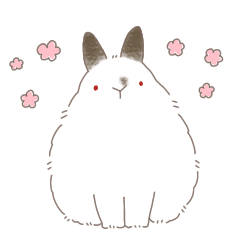 Rabbit_Yukimaru
