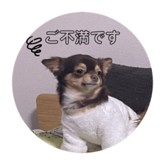 pako_20231115000845
