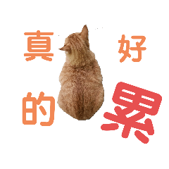 手畫可愛動物