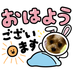 momari_20231115180714