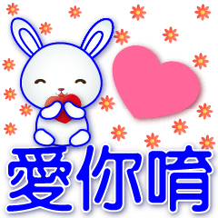 Cute white rabbit*.*Super practical