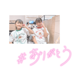 sakura_20231115191355