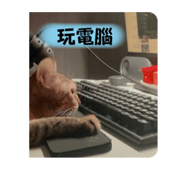一筒的貼圖