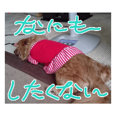 ima_20231115215910