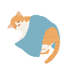 FaFa miredo cat 01