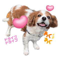 Yuka_20231115195814