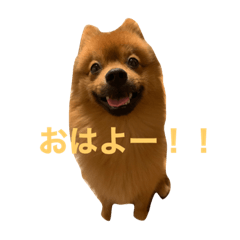 YUKA_20231115235808