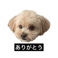 sunny_20231116015335