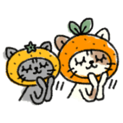 Ehime Mikan Cat (Imabari dialect)