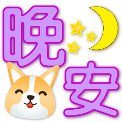 Cute Corgi- big font- Practical Phrases