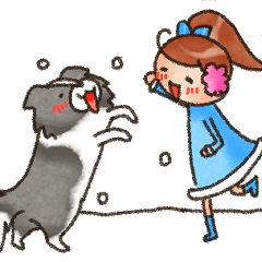 Border collie and Aoi-chan winter