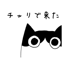 sakura_20231115194738