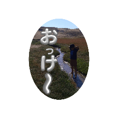 Takekichi_20231115200459