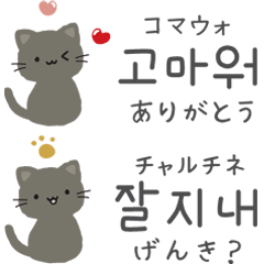 Korean cat sticker