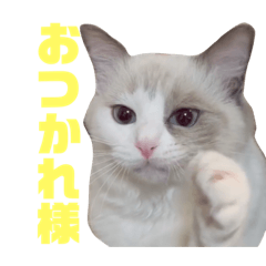 soramp_20231116164012