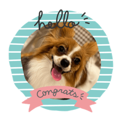 sakura_20231116190457