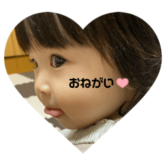 sakura_20231116224525