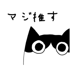 sakura_20231116144923