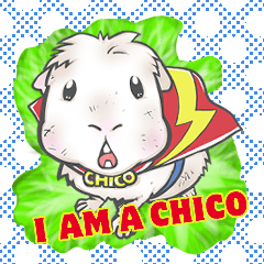 I am a Chico