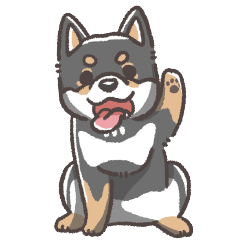 shibainu_haki