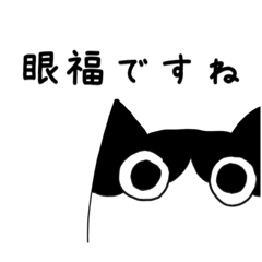 sakura_20231116211104