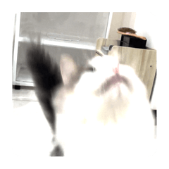 RRRR萬