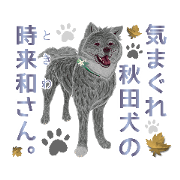 2020Tukiyomi kanon_TOKIWA-SAN