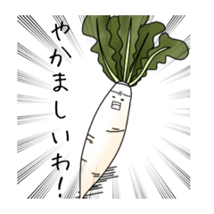 vegetable_20231117021123