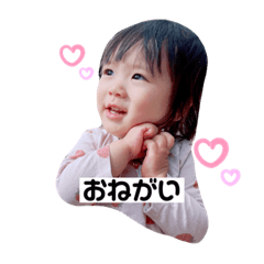 yokko_20231117170852