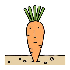 The Carrot Stocking Bird Grew