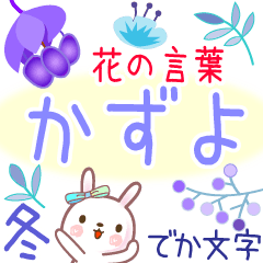 Kazuyo's Flower Words in Winter