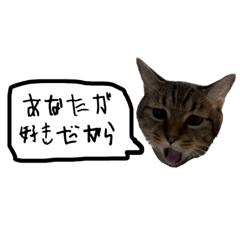 猫のししまるくん